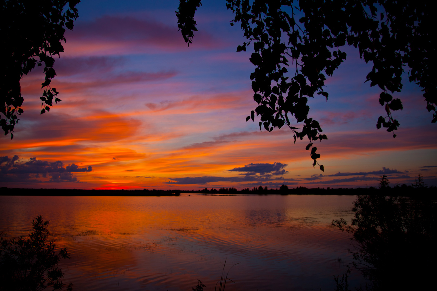 photo "***" tags: landscape, 