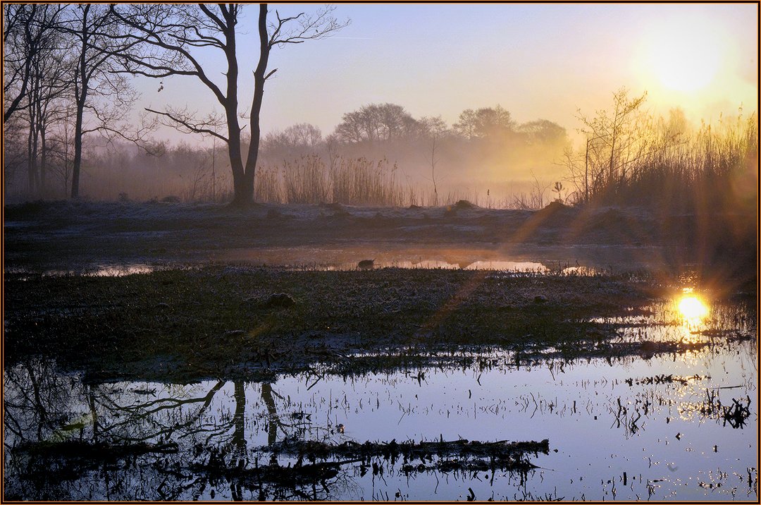 фото "***" метки: пейзаж, природа, fog, summer, облака, рассвет