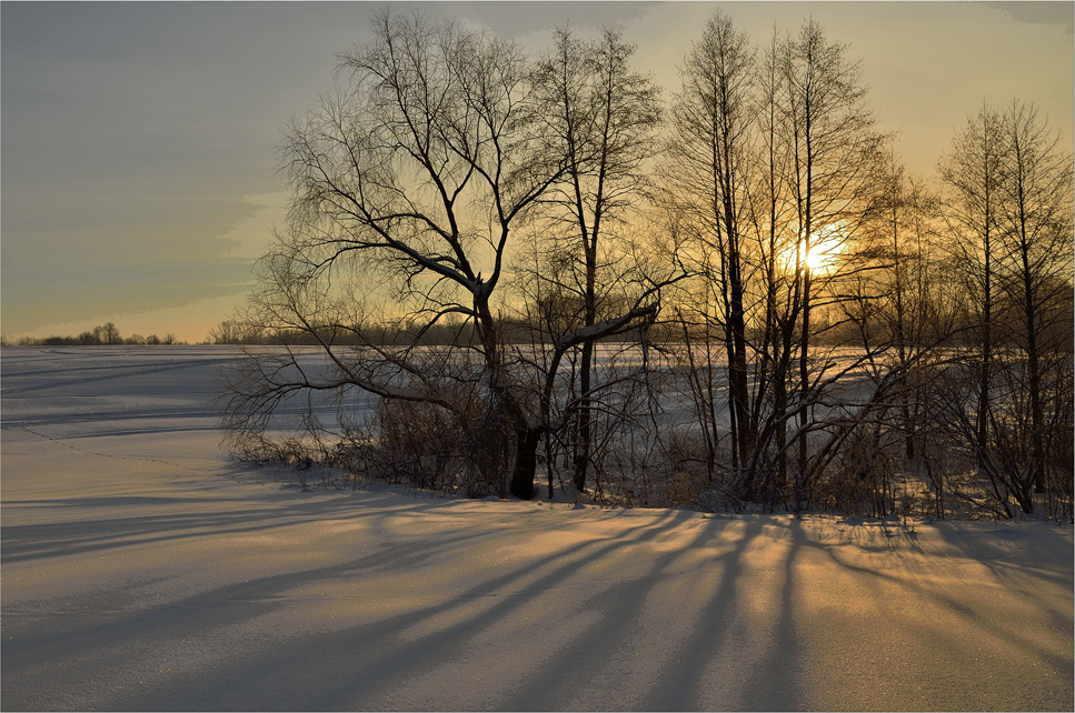 photo "***" tags: landscape, clouds, morning, sky, snow, sun, winter, Восход, деревья, лучи, тени