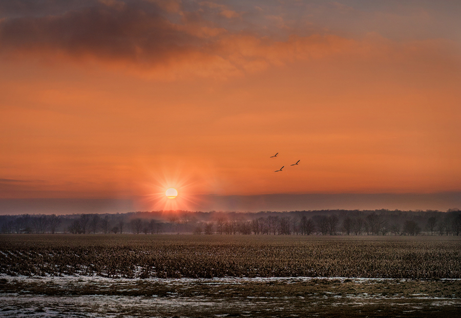 photo "***" tags: landscape, 
