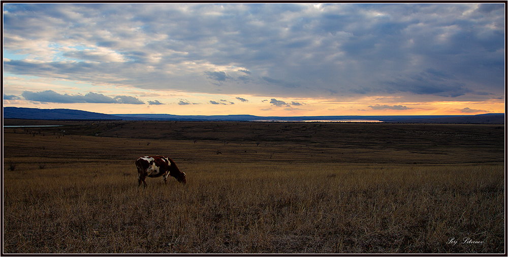photo "***" tags: landscape, sunset, winter
