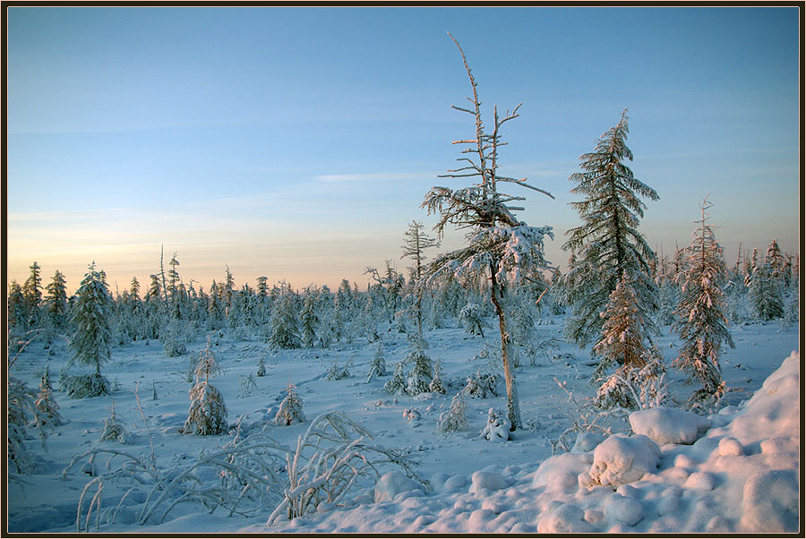 фото "Зимний вечер" метки: пейзаж, вечер, зима, лесотундра