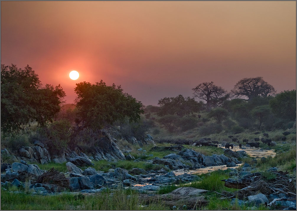 photo "Evening watering" tags: nature, landscape, 