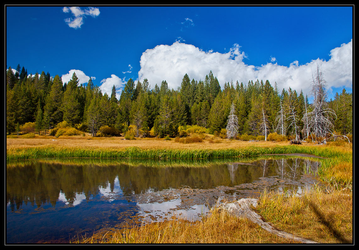 photo "Early fall" tags: landscape, autumn, forest, water