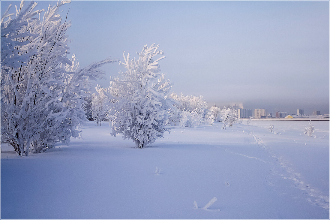 photo "***" tags: landscape, nature, forest, winter