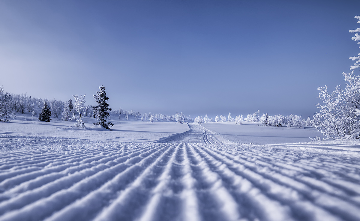 photo "The mountain highway." tags: landscape, Europe, forest, snow, winter