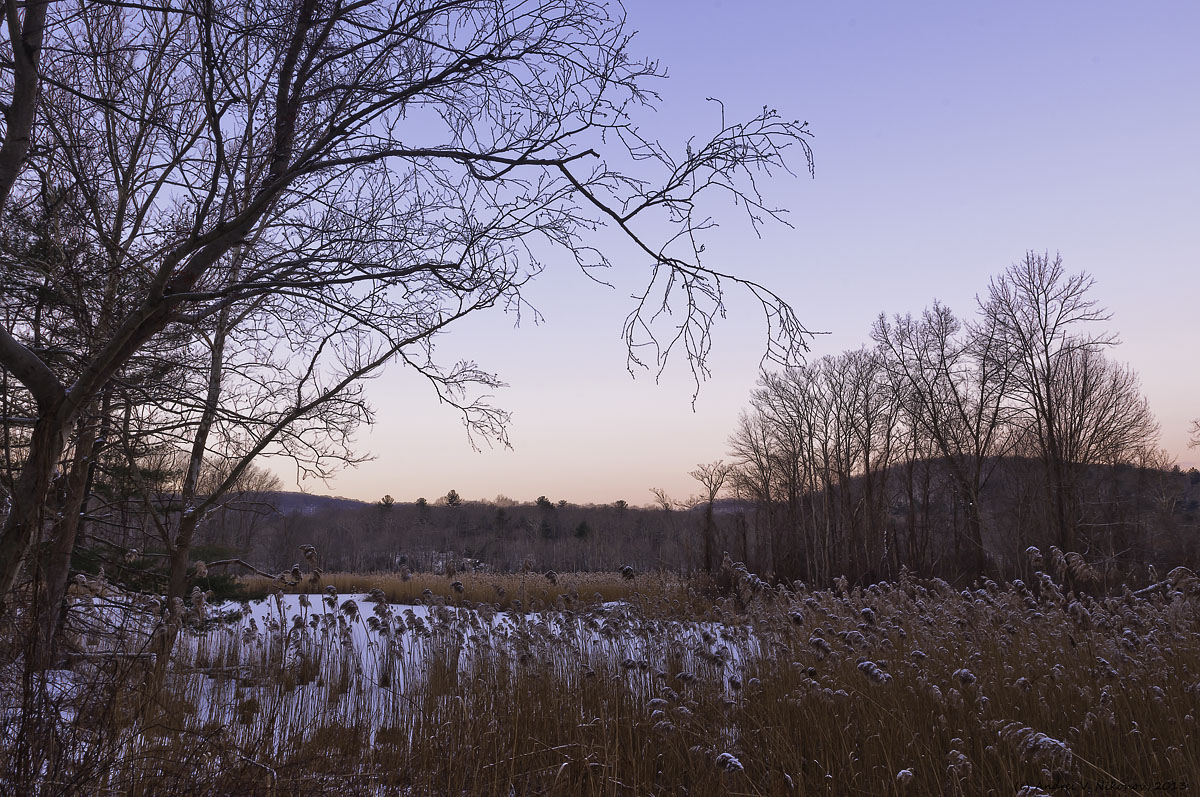 фото "Before sunrise" метки: пейзаж, природа, Sterling Forest State Park, Swamp, forest, зима