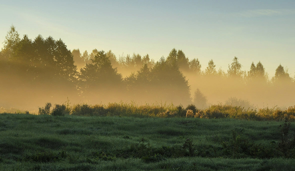 photo "Breakfast Sandwich" tags: nature, landscape, 