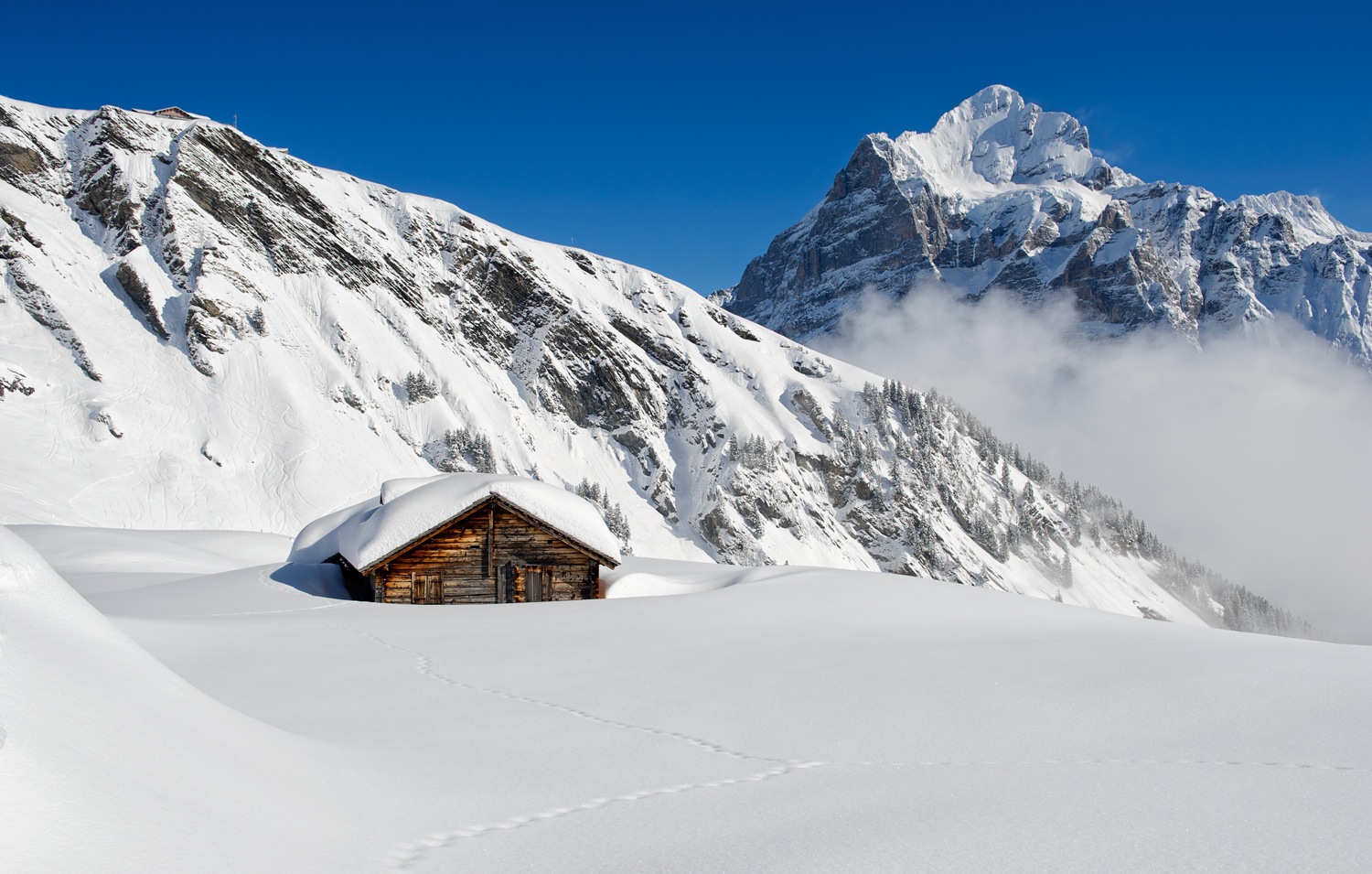 photo "über dem Nebel" tags: landscape, Berge, Berner Oberland, mountains, winter