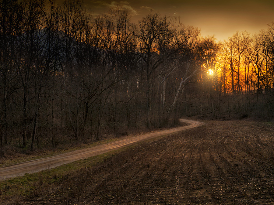 photo "Solitary Lane" tags: landscape, 
