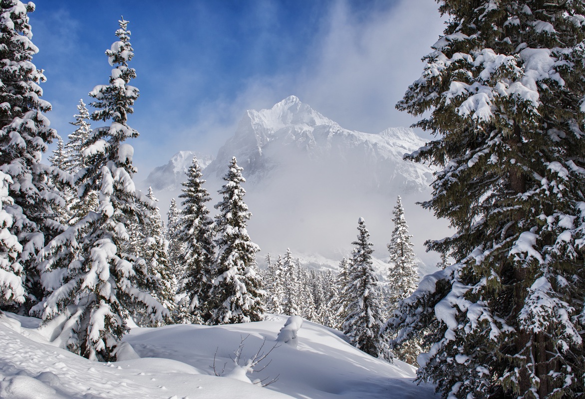 photo "Grindelwald" tags: landscape, Berge, Berner Oberland, Europe, mountains, winter