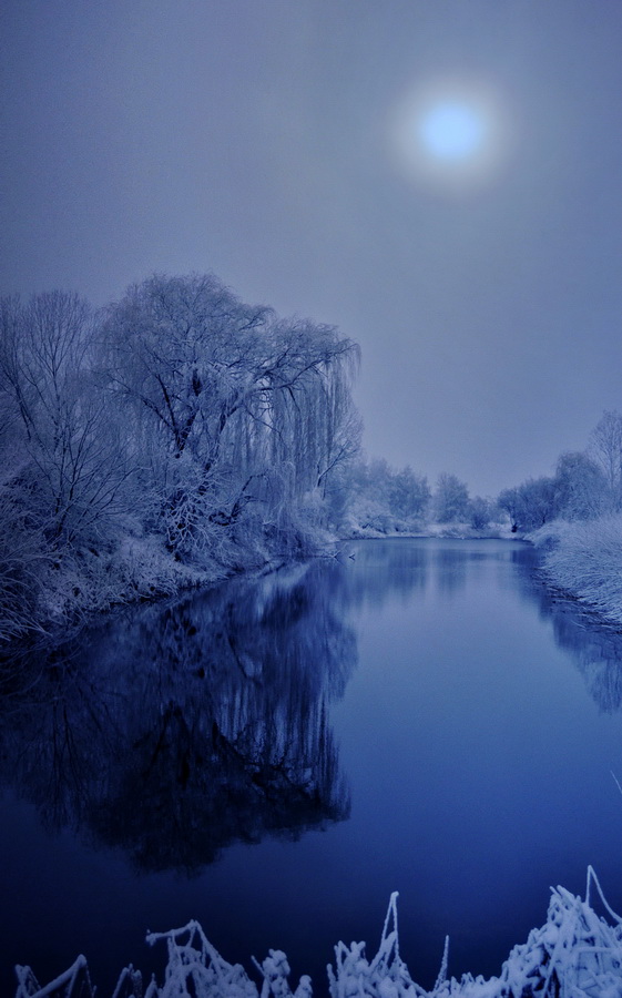 photo "***" tags: nature, 