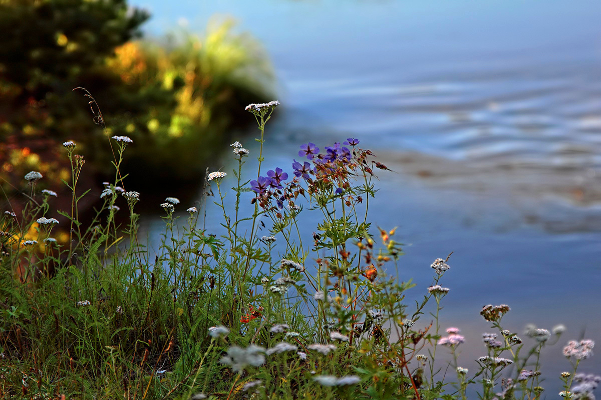 photo "***" tags: landscape, 