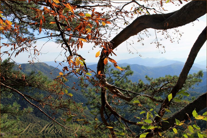 photo "***" tags: landscape, autumn, forest, mountains, адыгея