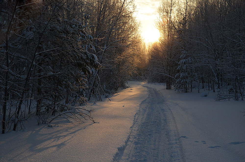 photo "***" tags: landscape, nature, forest, snow, sunset