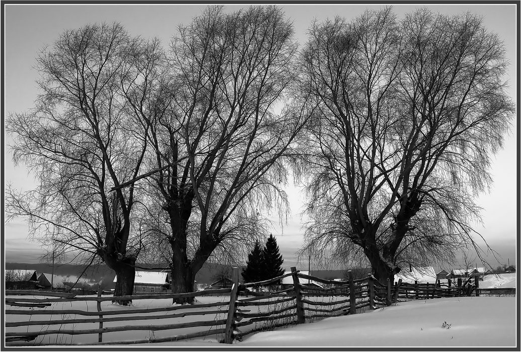 photo "***" tags: landscape, snow, winter, Ограда, деревья, дома