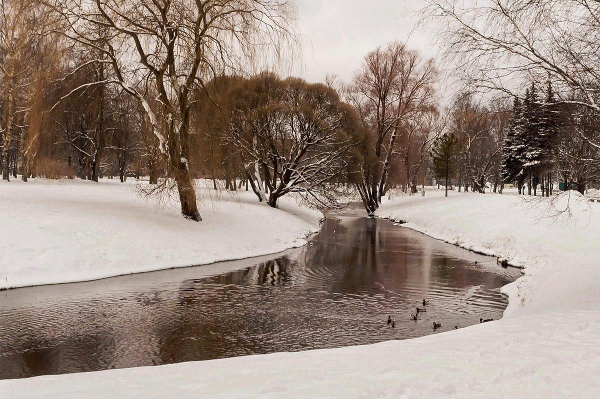 фото "Февраль..." метки: пейзаж, вода, зима, отражения