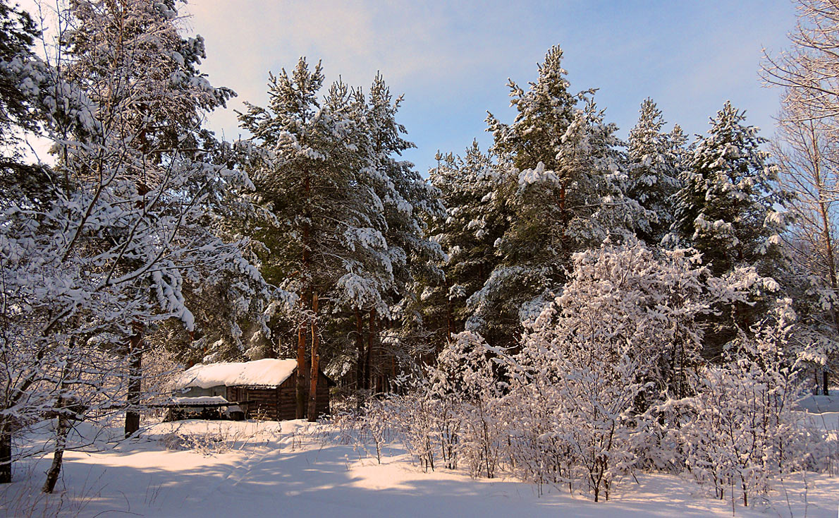 фото "Лесная избушка" метки: пейзаж, домик, зима, снег, солнце, сосны