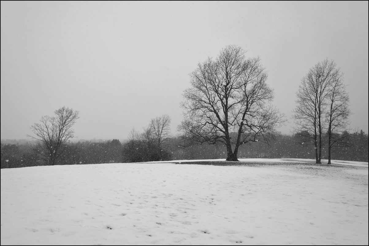 photo "***" tags: landscape, snow, winter