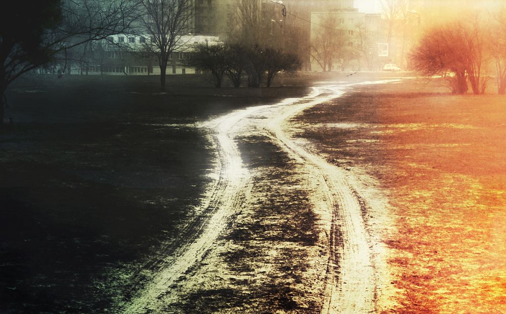 photo "warm against cold" tags: , 