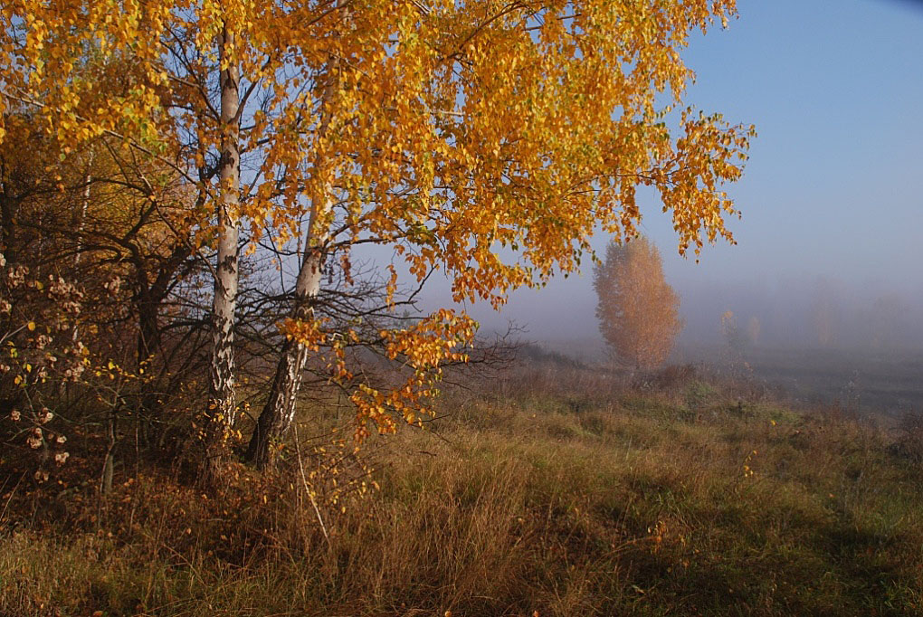 фото "Осень золотая и туманная..." метки: пейзаж, 