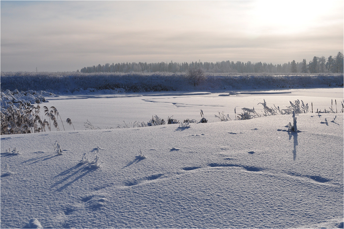 photo "***" tags: landscape, snow, winter, лед