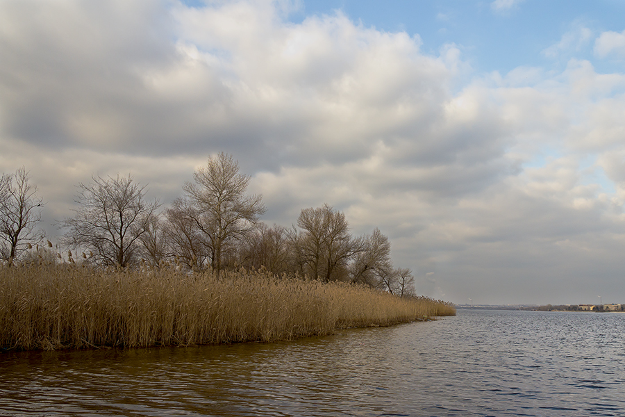 photo "***" tags: landscape, Dnieper, Ukraine, clouds, coast, river, sky, water, Запорожье, камыши, январь