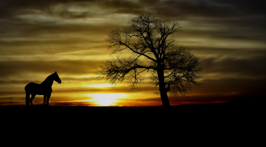 photo "***" tags: landscape, 