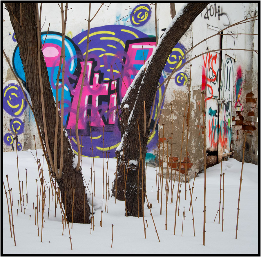 фото "молодая поросль и молодая недоросль" метки: город, графити, дерево, поросль