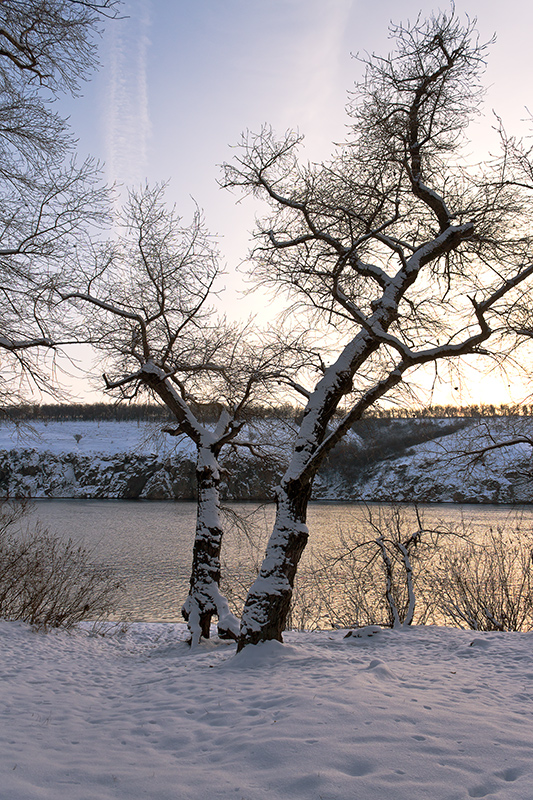 photo "***" tags: landscape, Dnieper, Ukraine, coast, evening, snow, sun, tree, water, Запорожье, о. Хортица, январь