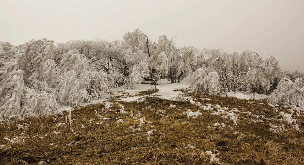 фото "***" метки: пейзаж, 