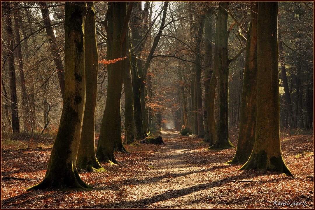 photo "***" tags: landscape, nature, 