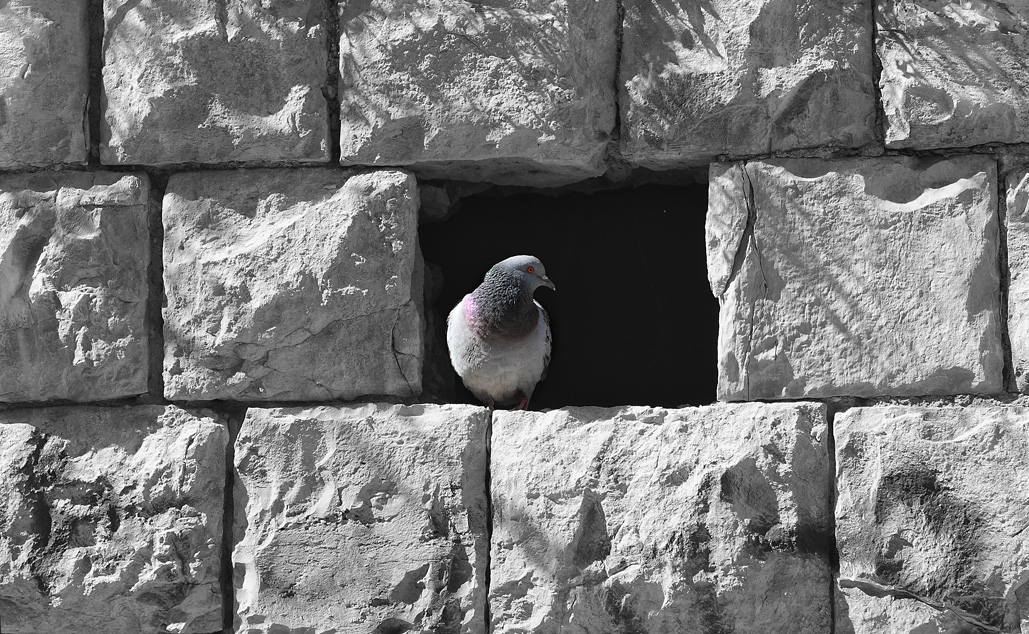 photo "***" tags: black&white, city, 