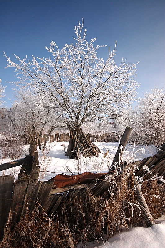 photo "***" tags: landscape, nature, 