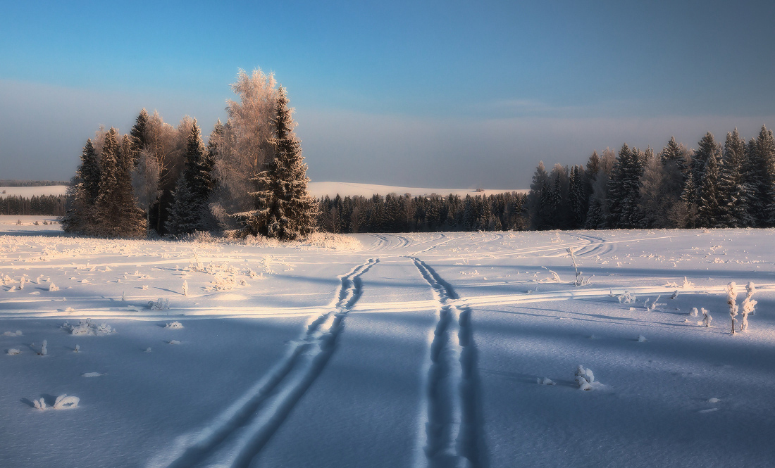 photo "***" tags: landscape, forest, hoarfrost, snow, winter, мороз, склоны, следы