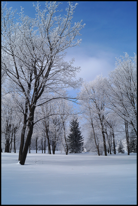 photo "***" tags: landscape, 