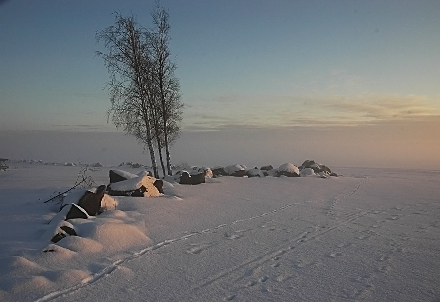 photo "зимний вечер" tags: landscape, 