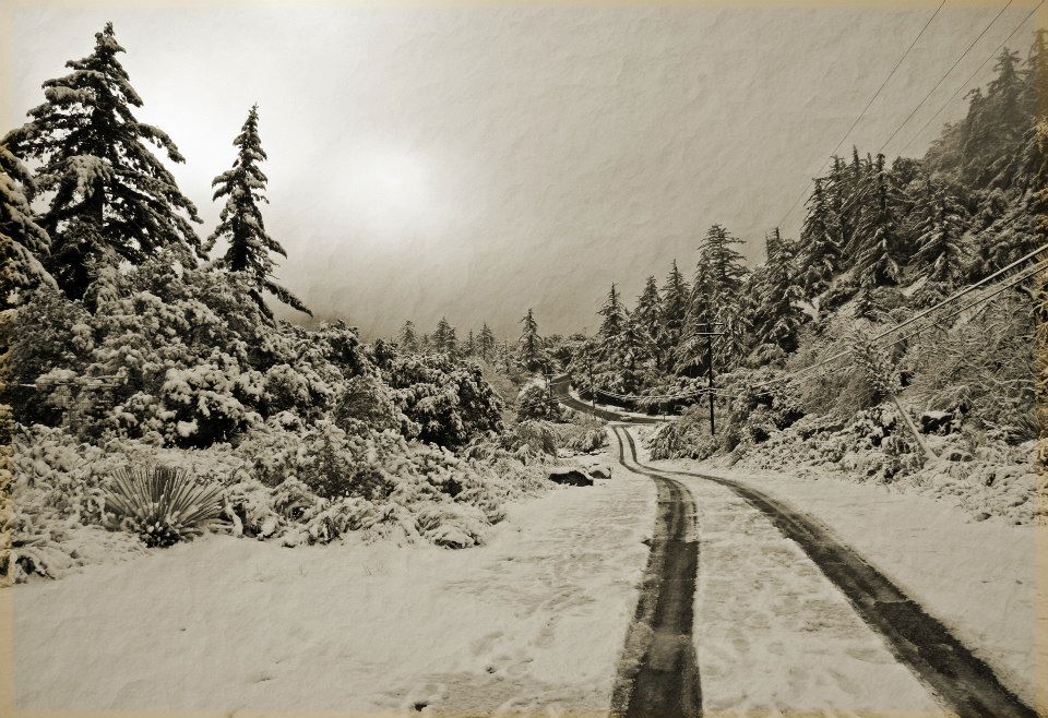 фото "Winter In Sepia" метки: пейзаж, панорама, 