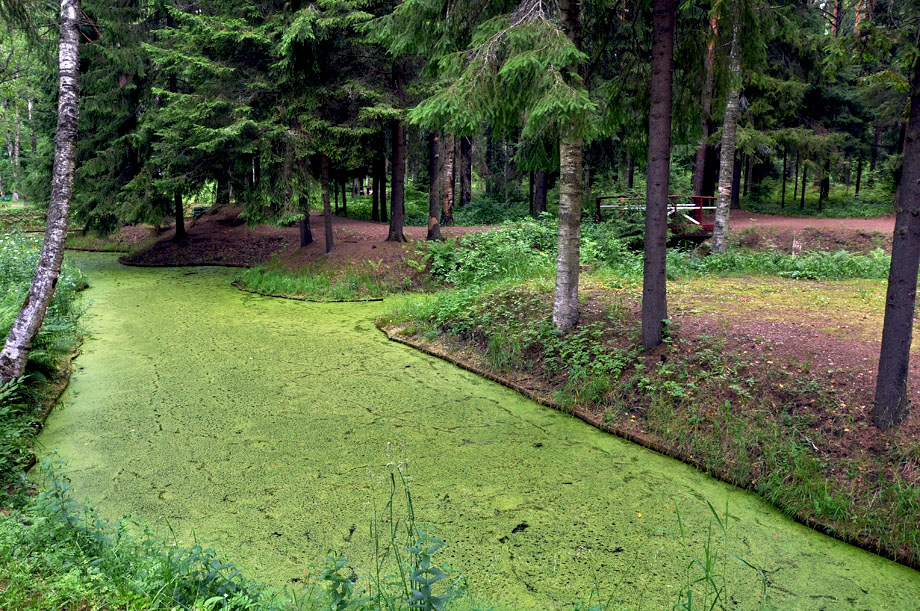 photo "***" tags: landscape, 