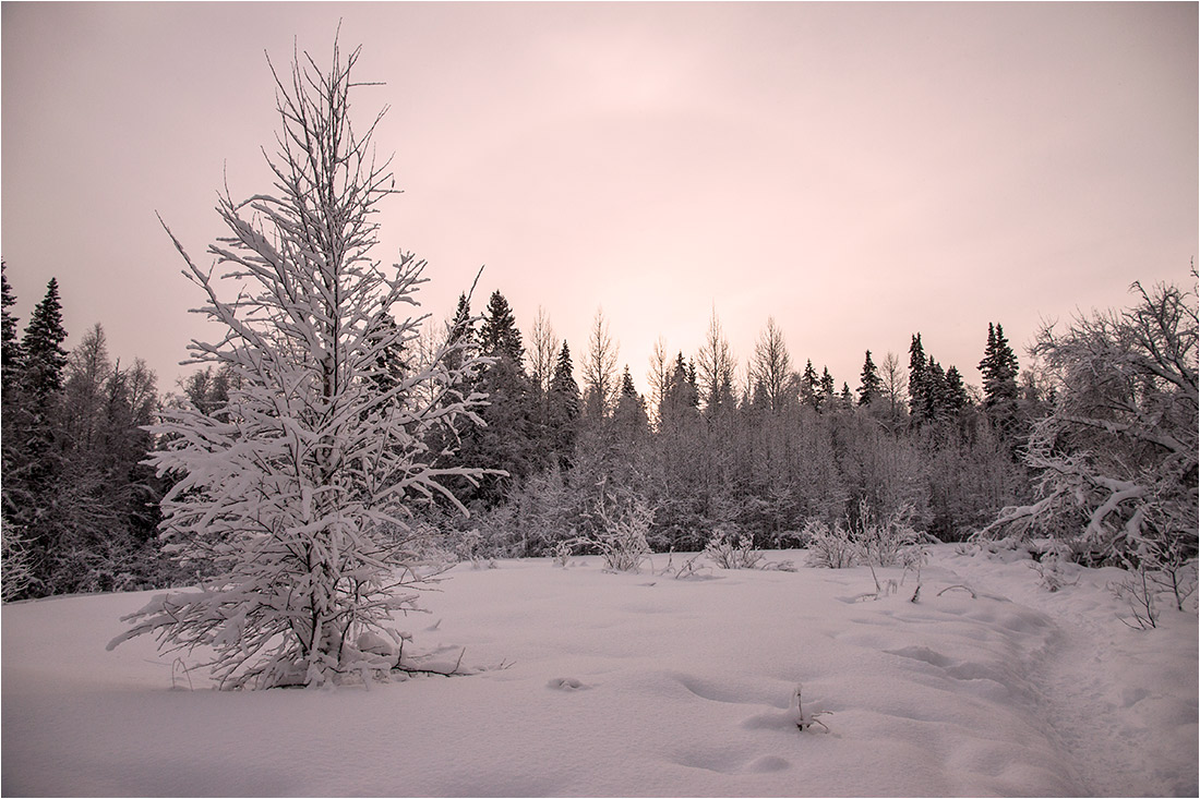 photo "***" tags: landscape, nature, 