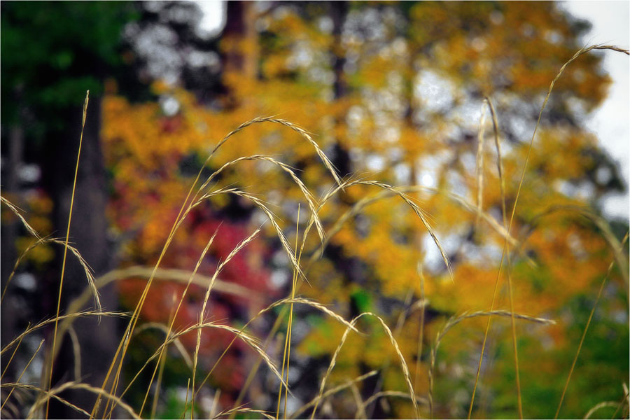 photo "***" tags: , 