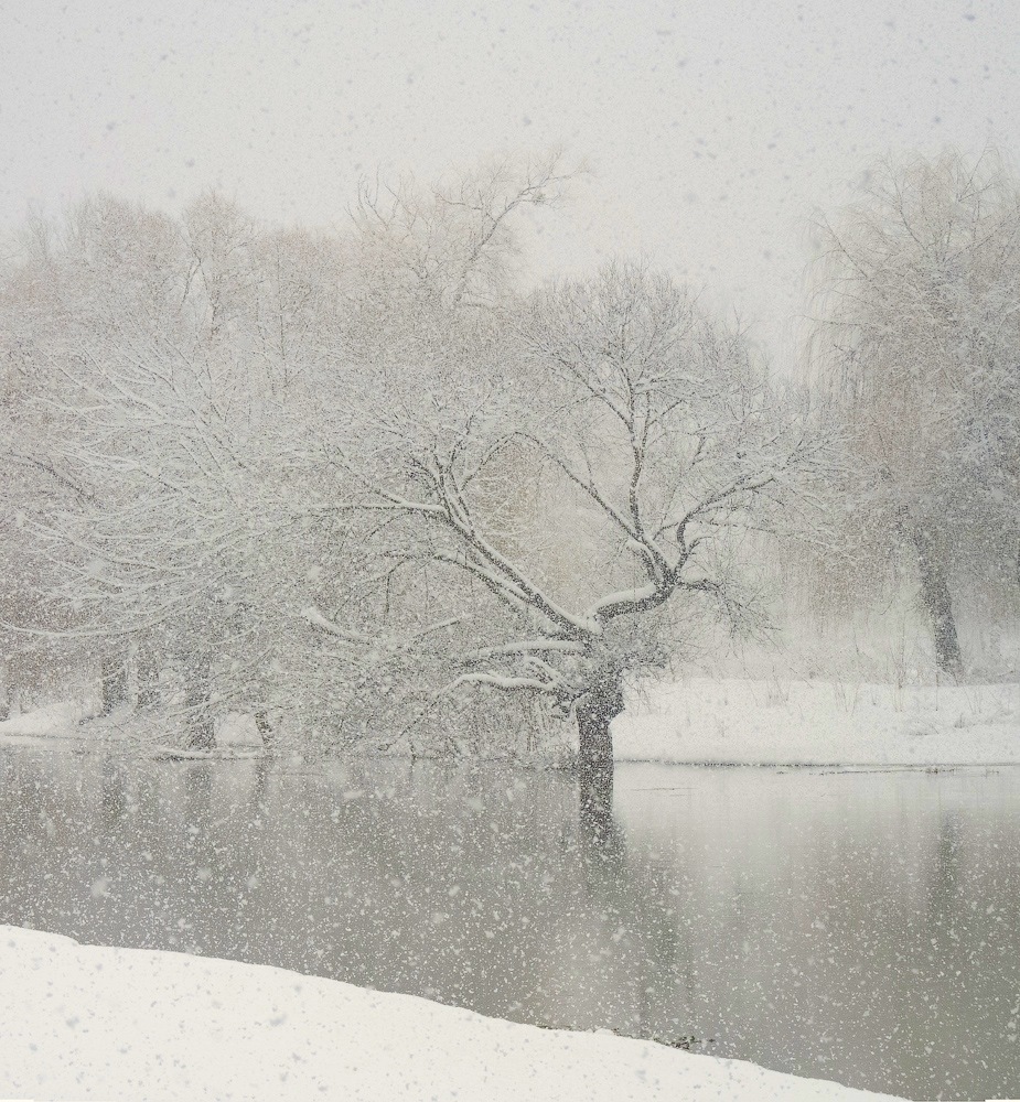 photo "And it snows ..." tags: landscape, river, snow