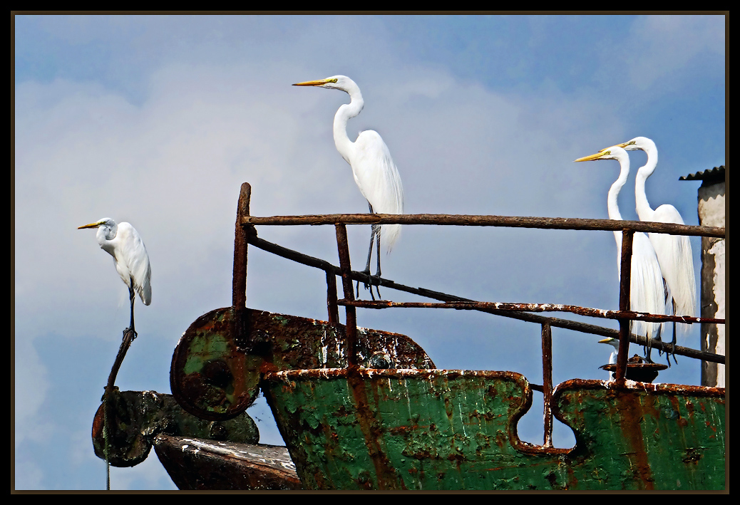 photo "Sentinels" tags: landscape, South America