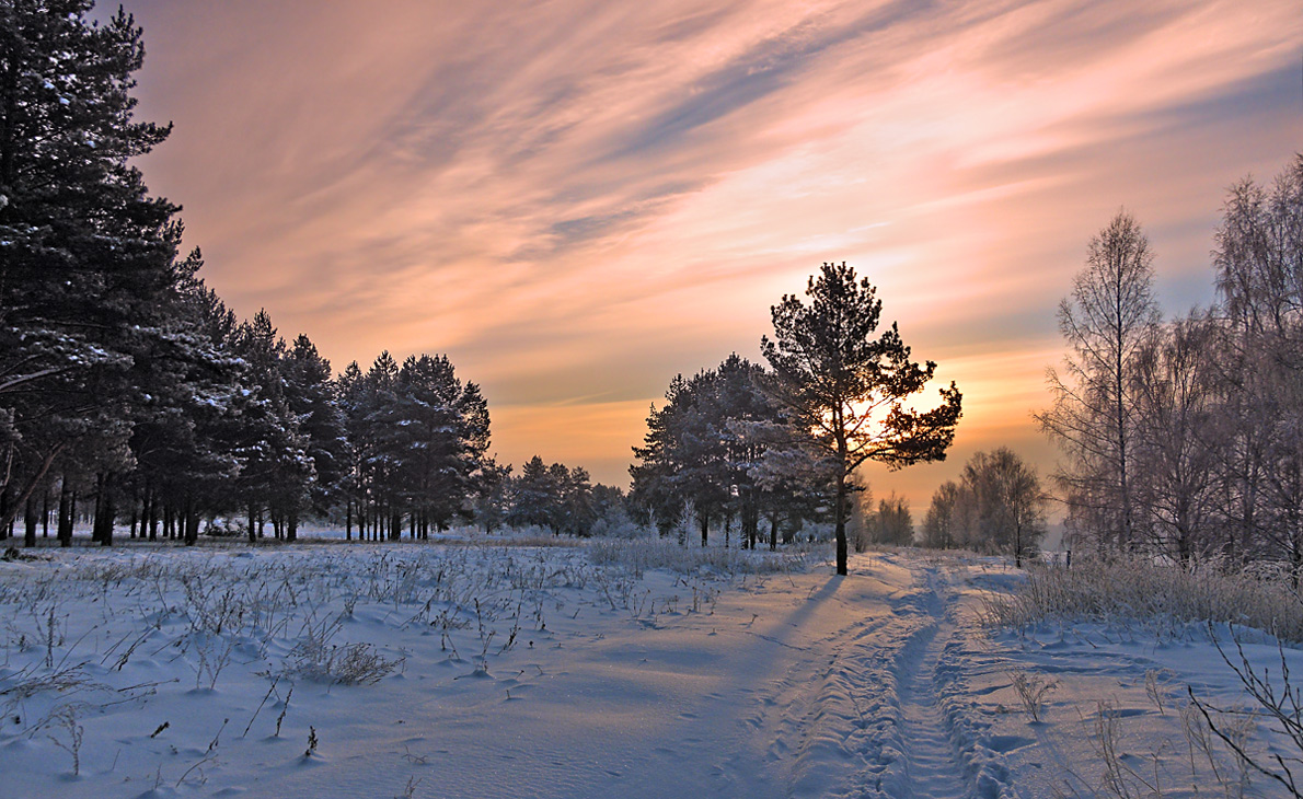 photo "***" tags: landscape, forest, snow, sun, sunrise, winter