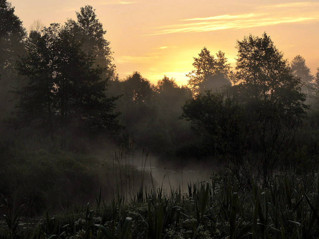 фото "Утро с тремя неизвестными" метки: природа, пейзаж, 