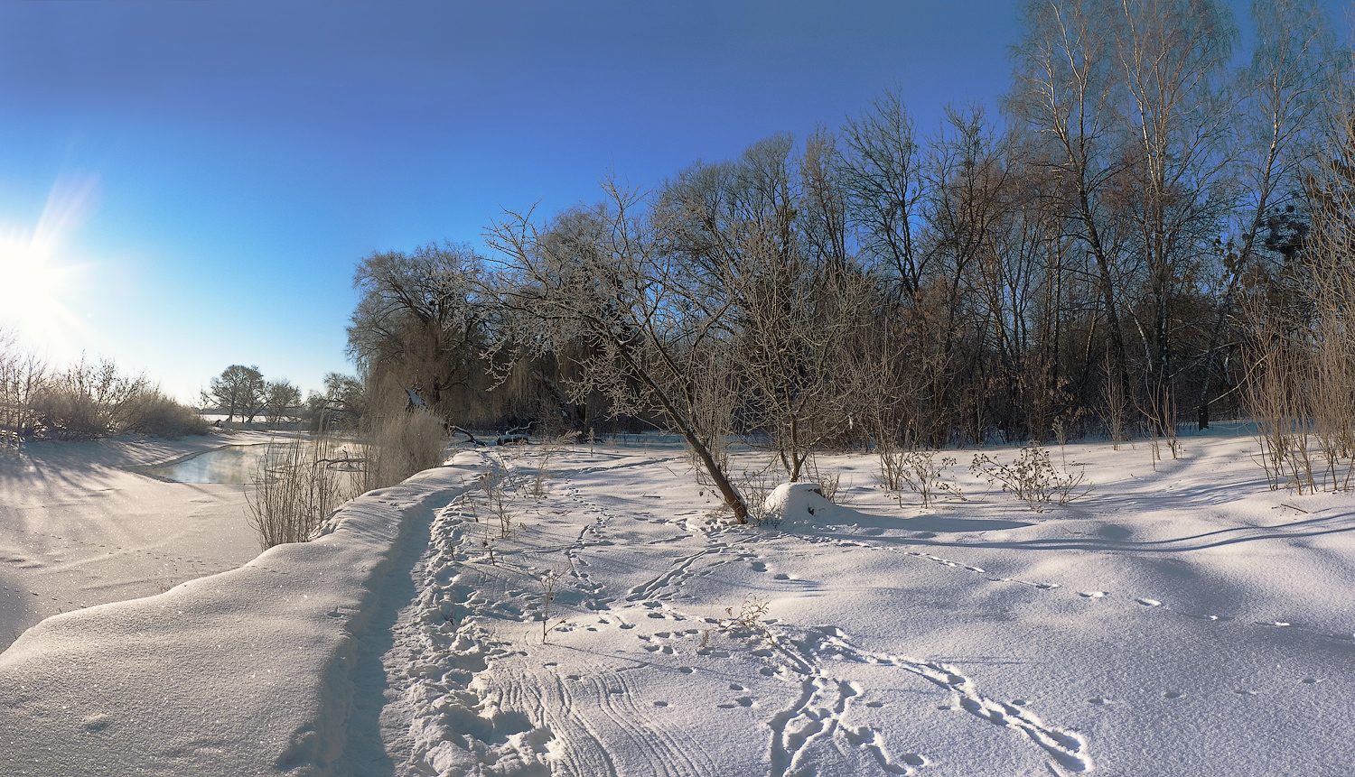 photo "Path in winter ..." tags: landscape, nature, river, sun, winter, мороз