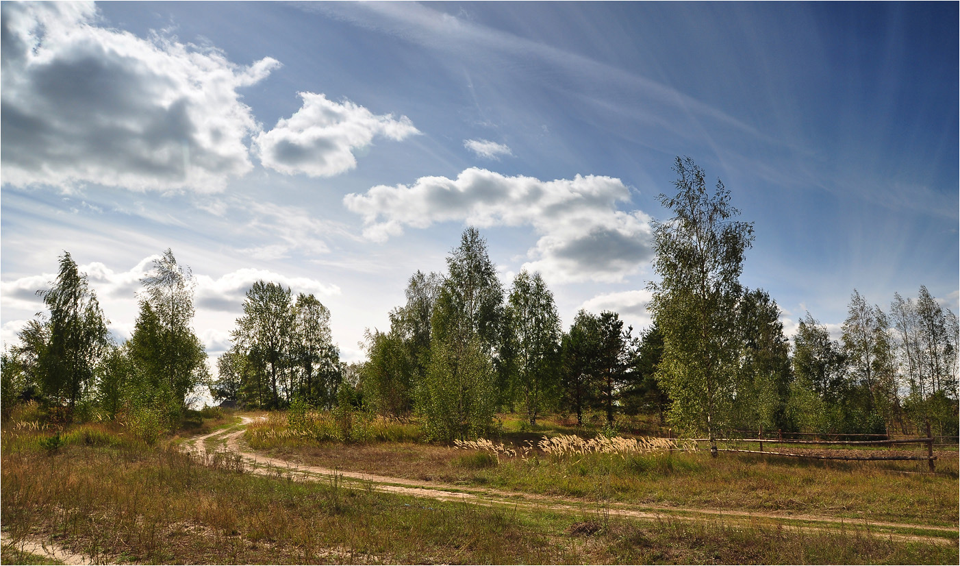 photo "***" tags: landscape, birches, clouds, grass, road, summer