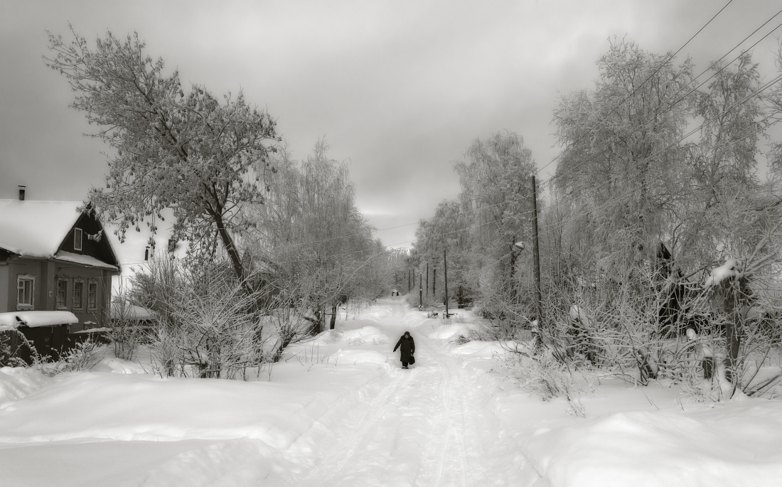 photo "***" tags: black&white, city, hoarfrost, snow, street, winter, бабушка, деревья, домики, мороз