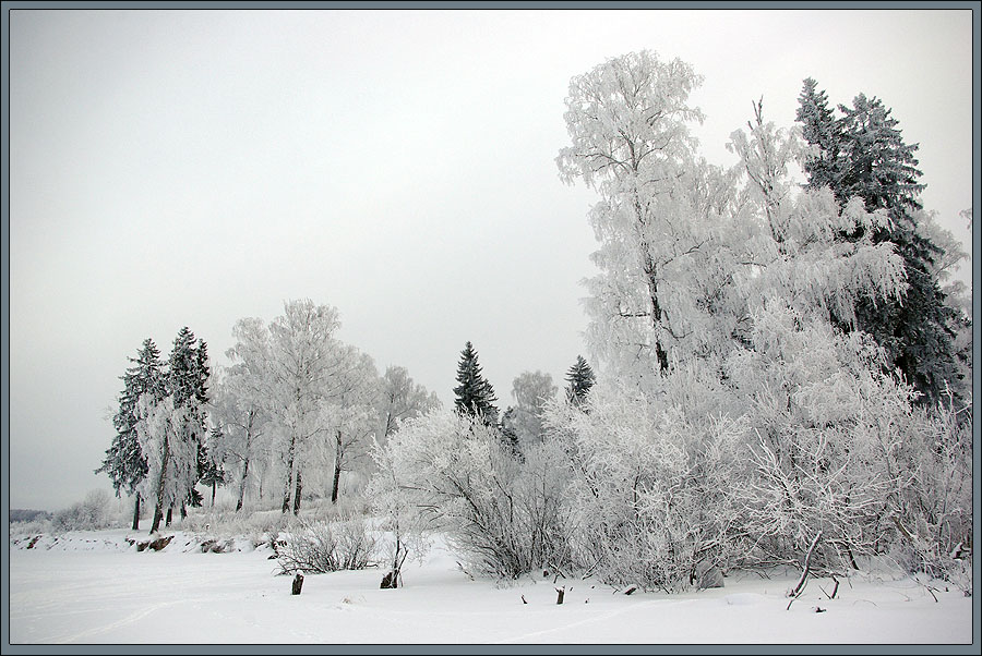 photo "***" tags: landscape, forest, hoarfrost, winter