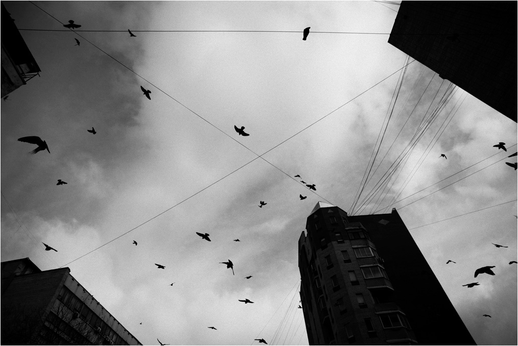 photo "***" tags: city, 